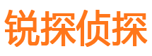 盐山外遇出轨调查取证